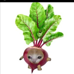 Meet your Posher, Oliver